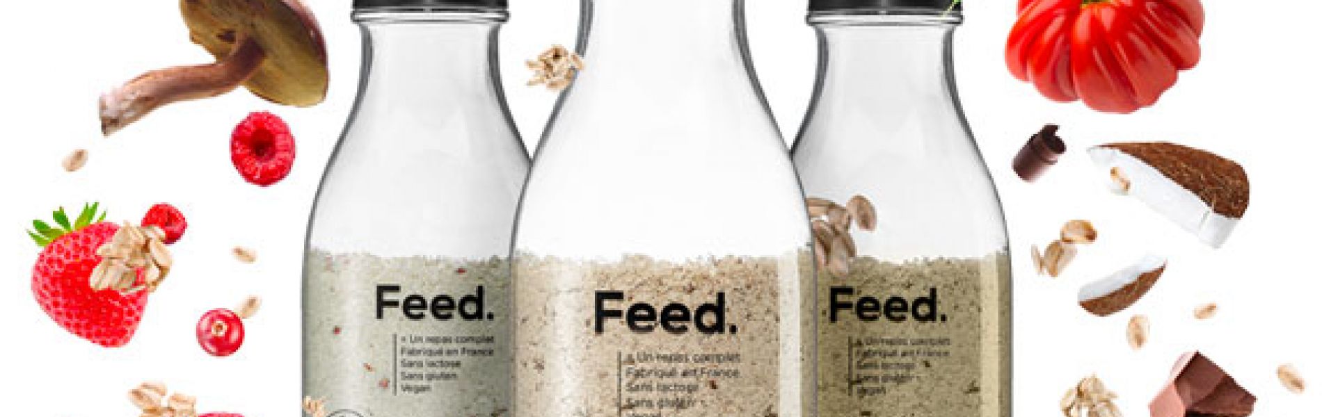 Feed