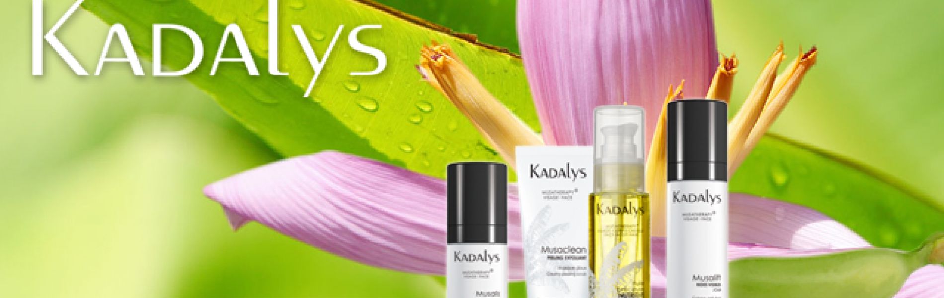 Kadalys