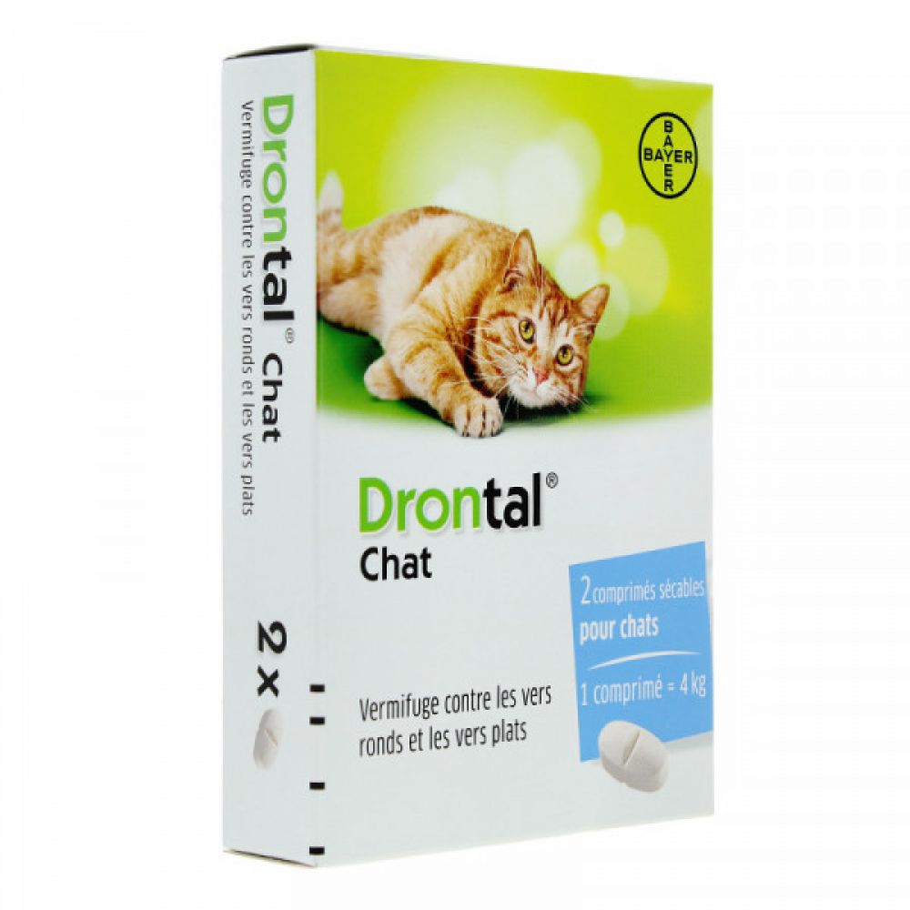 Bayer - Drontal Chat - Comprimé sécables