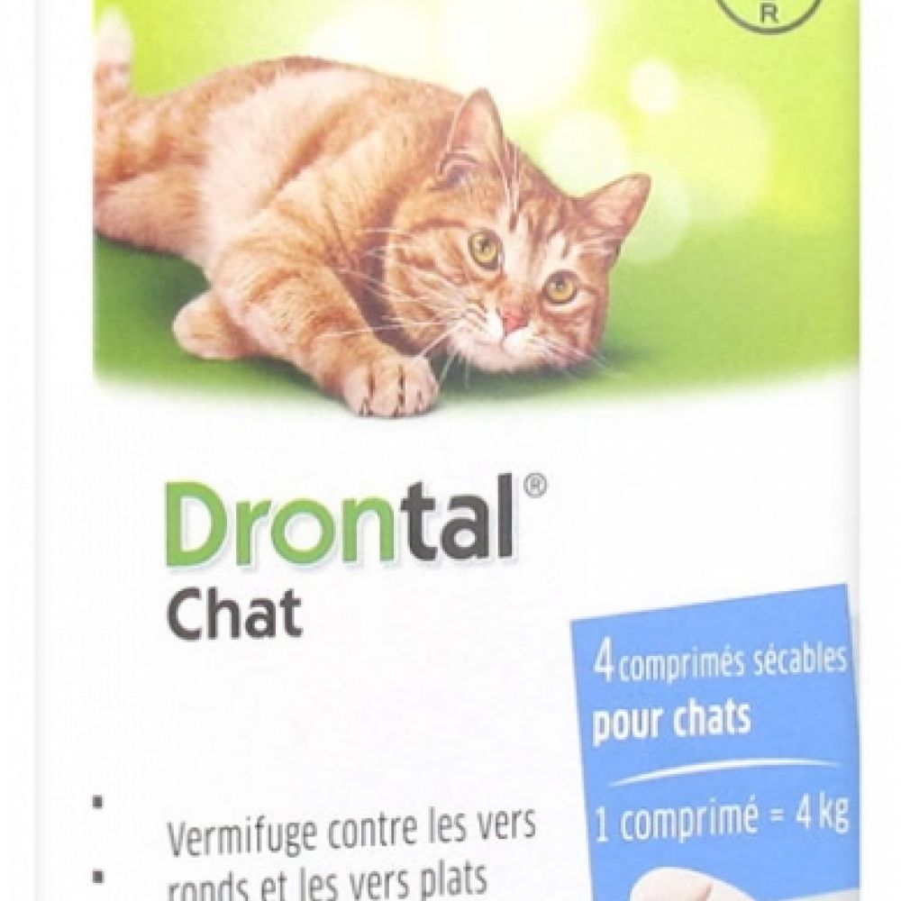 Bayer - Drontal Chat - Comprimé sécables