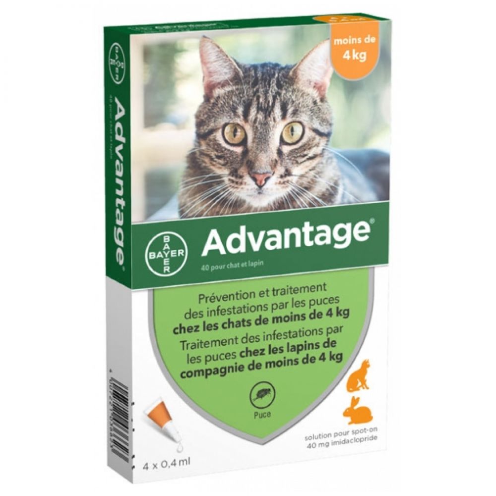 Bayer - Advantage Chat et Lapin de moins de 4 kg - 4 pipettes