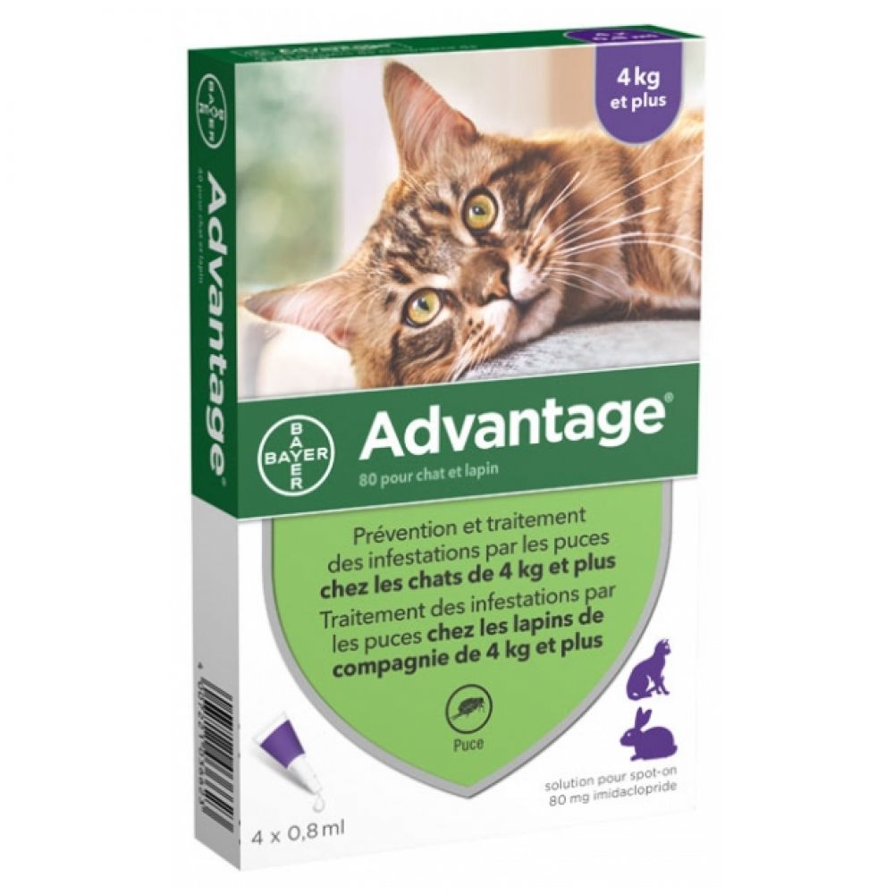 Bayer - Advantage chat et lapin de 4 kg et plus - 4 pipettes