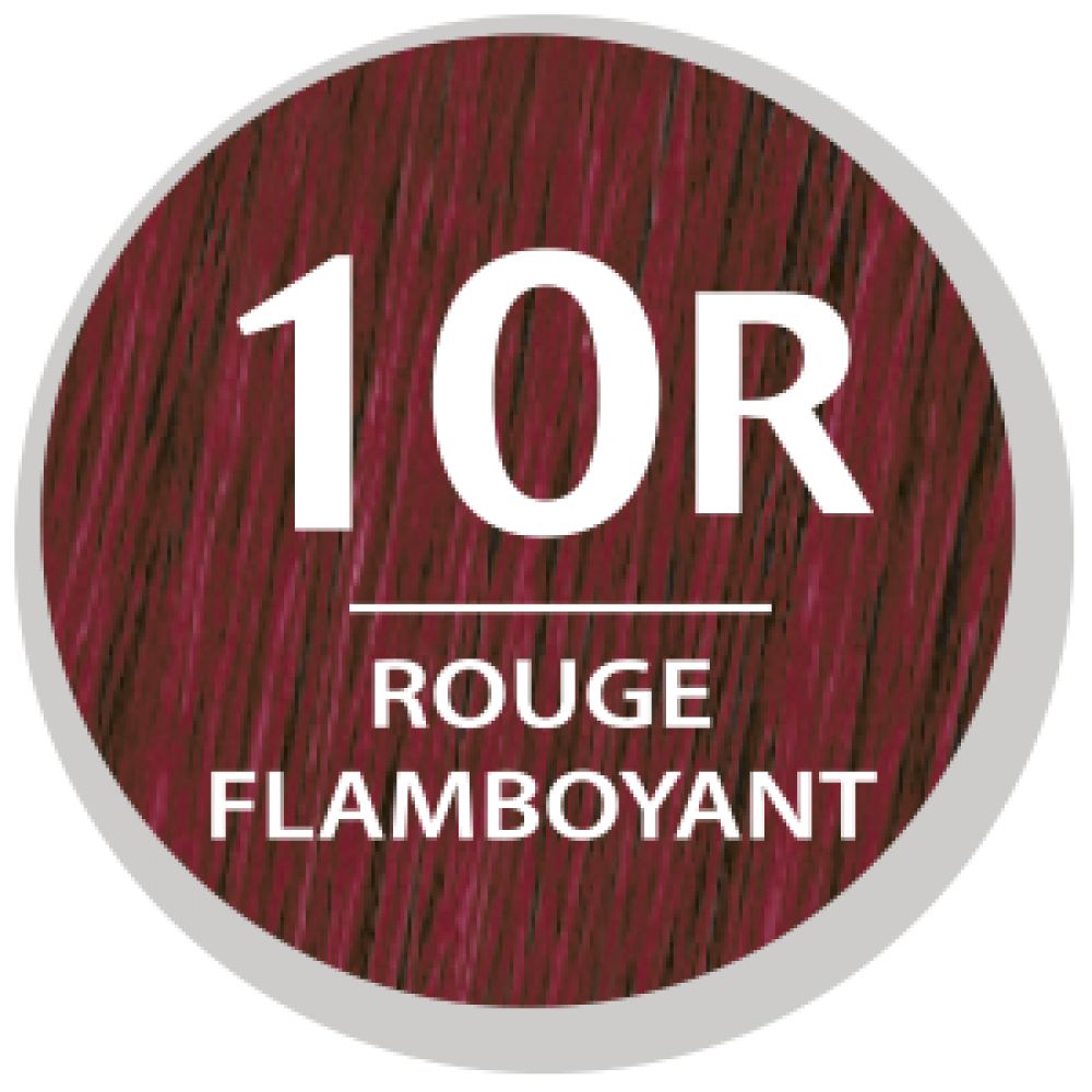 Colorant Rouge Flamboyant : l'unité de 10 g à Prix Carrefour