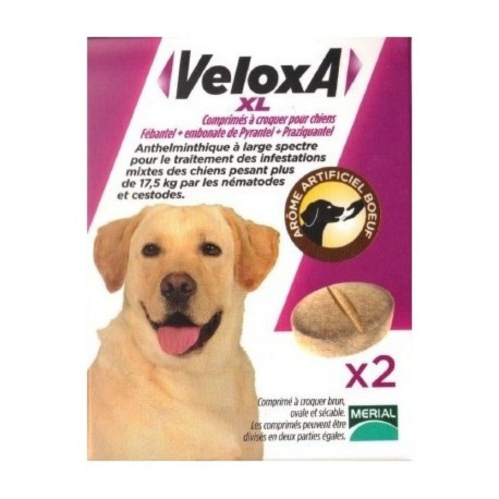 Veloxa - Chien XL - 2 comprimés