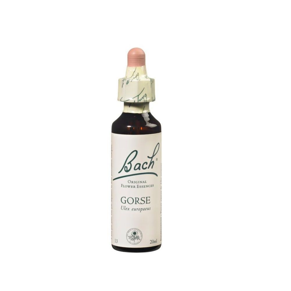 Fleurs de Bach Original - Gorse Ajonc - 20ml