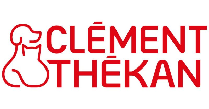 -2€ sur Clement Thekan.