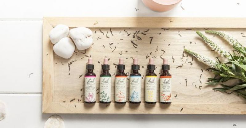 -20% sur Fleurs de Bach