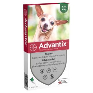 Bayer - Advantix très petit chien de 1,5 à 4 kg - 4 pipettes