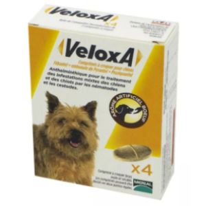 Veloxa - Chien - 4 comprimés