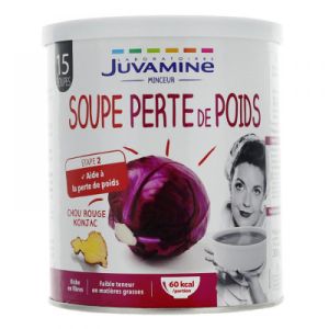 Juvamine - Soupe Perte à Poids - 300g