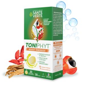 Santé verte - Toniphyt Boost goût citron vert menthe